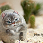 Henry’s cats & friends / Кошки на камнях (Магазета)