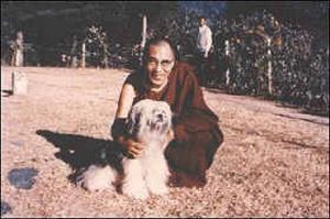 dalailama2