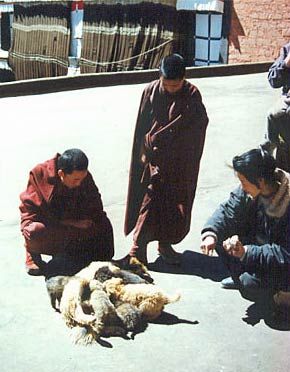 tibet28