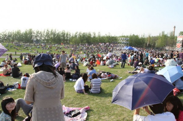 Strawberry Music Festival