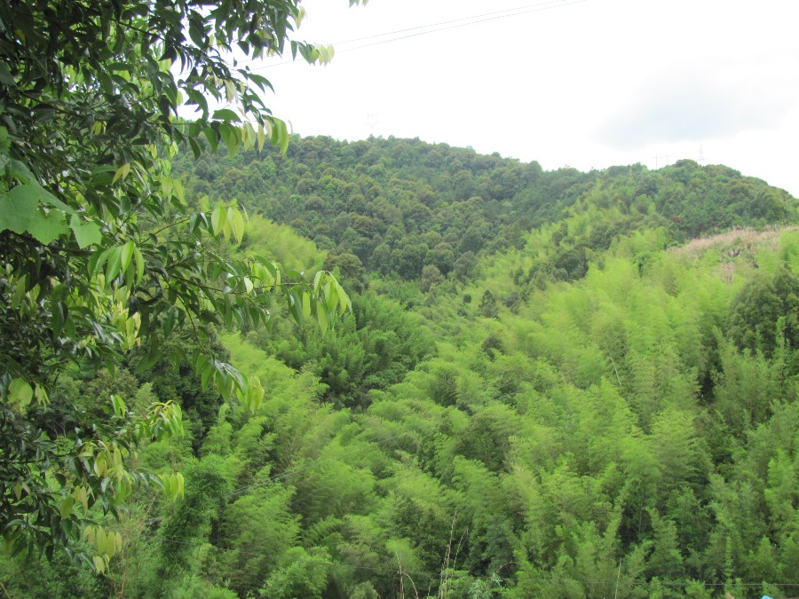 Meizhou_ph01