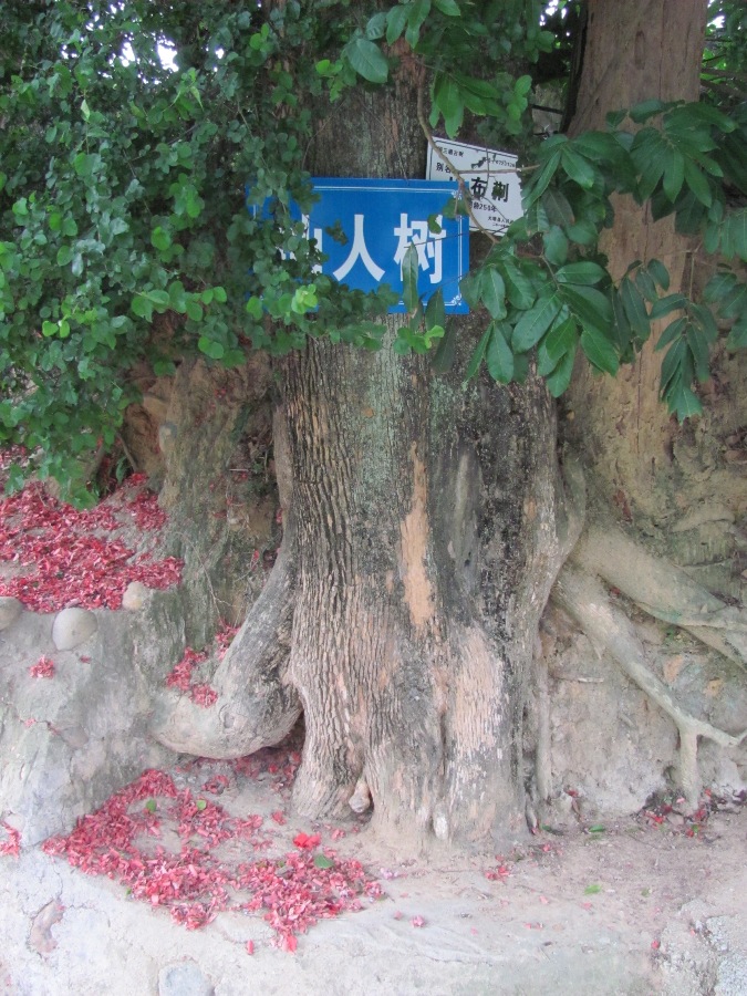 Meizhou_ph21
