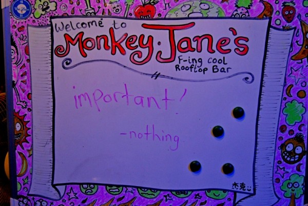monkey2