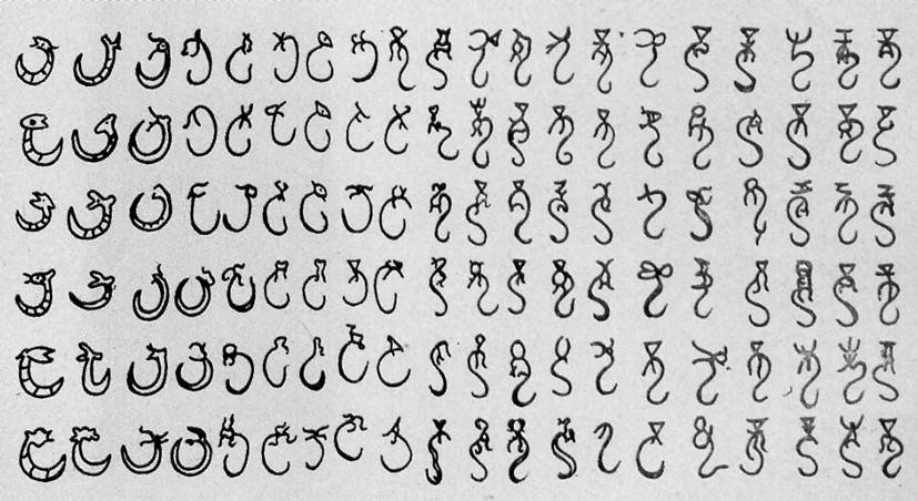 甲骨文龍字120式摹寫