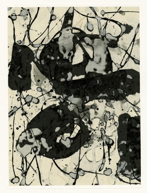 Mutation_2011
