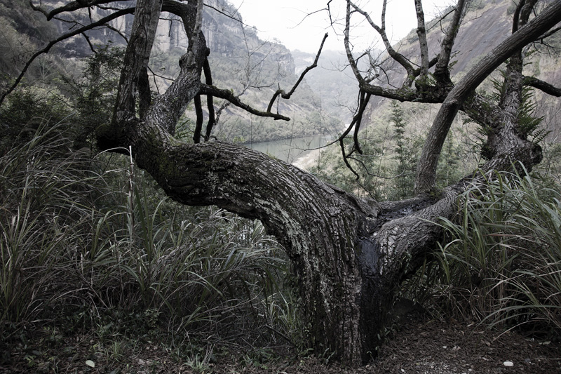 wuyi mountains 1
