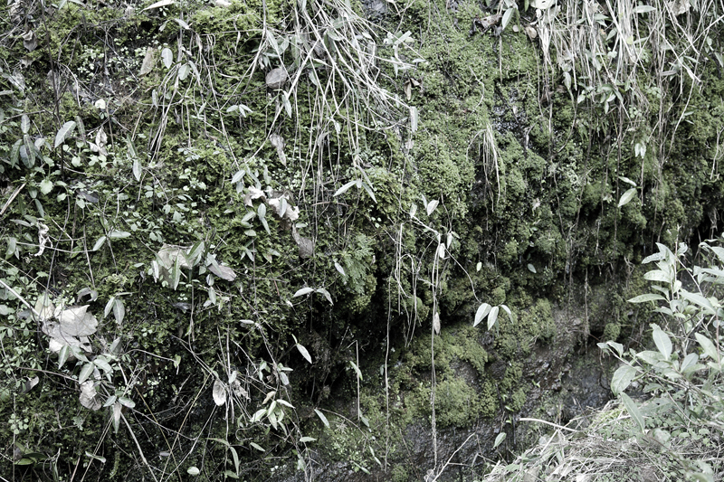 wuyi mountains 11