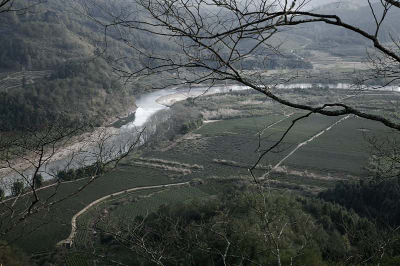 wuyi mountains 3