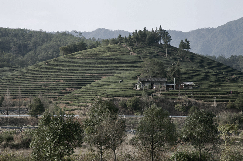 wuyi mountains 4