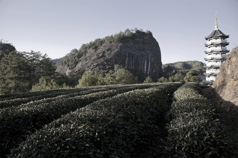 wuyi mountains 7