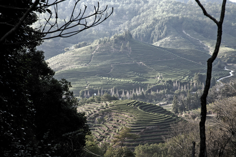 wuyi mountains 8