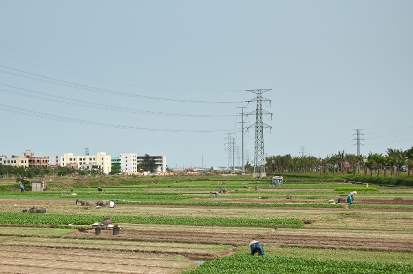 around the island 001