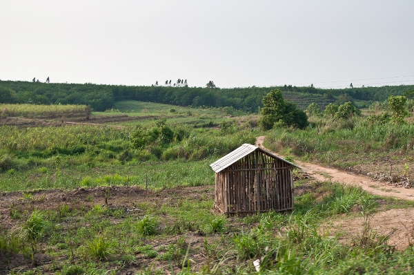 around the island 011