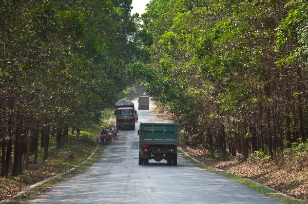 around the island 027