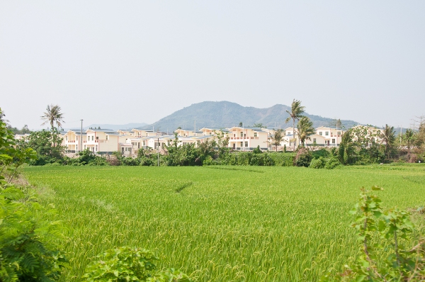 around the island 030