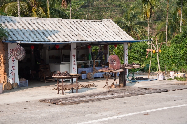 around the island 041