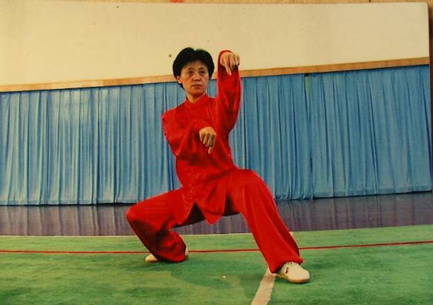 Танланцюань (стиль богомола) 螳螂拳
