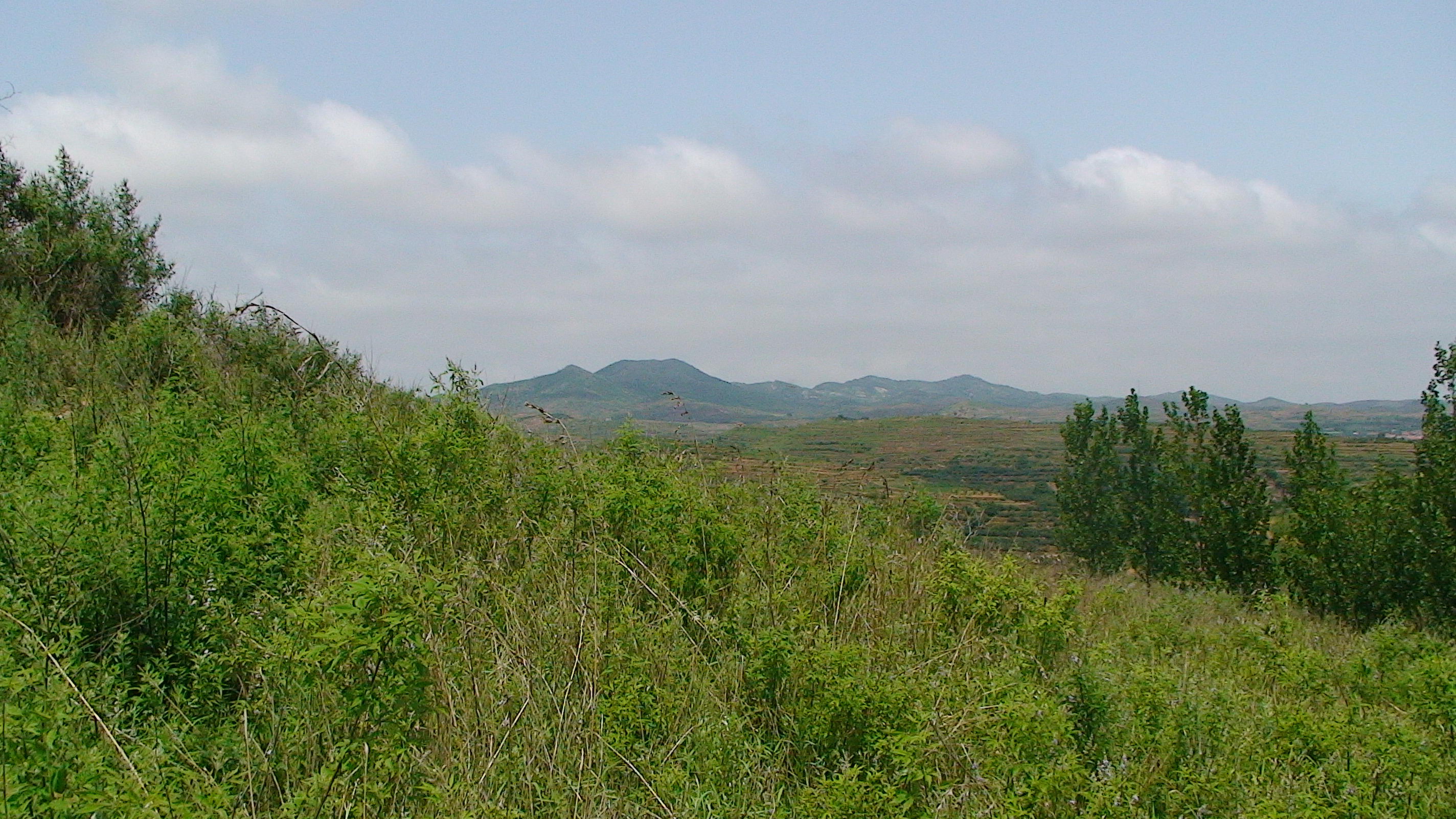 DSC00509