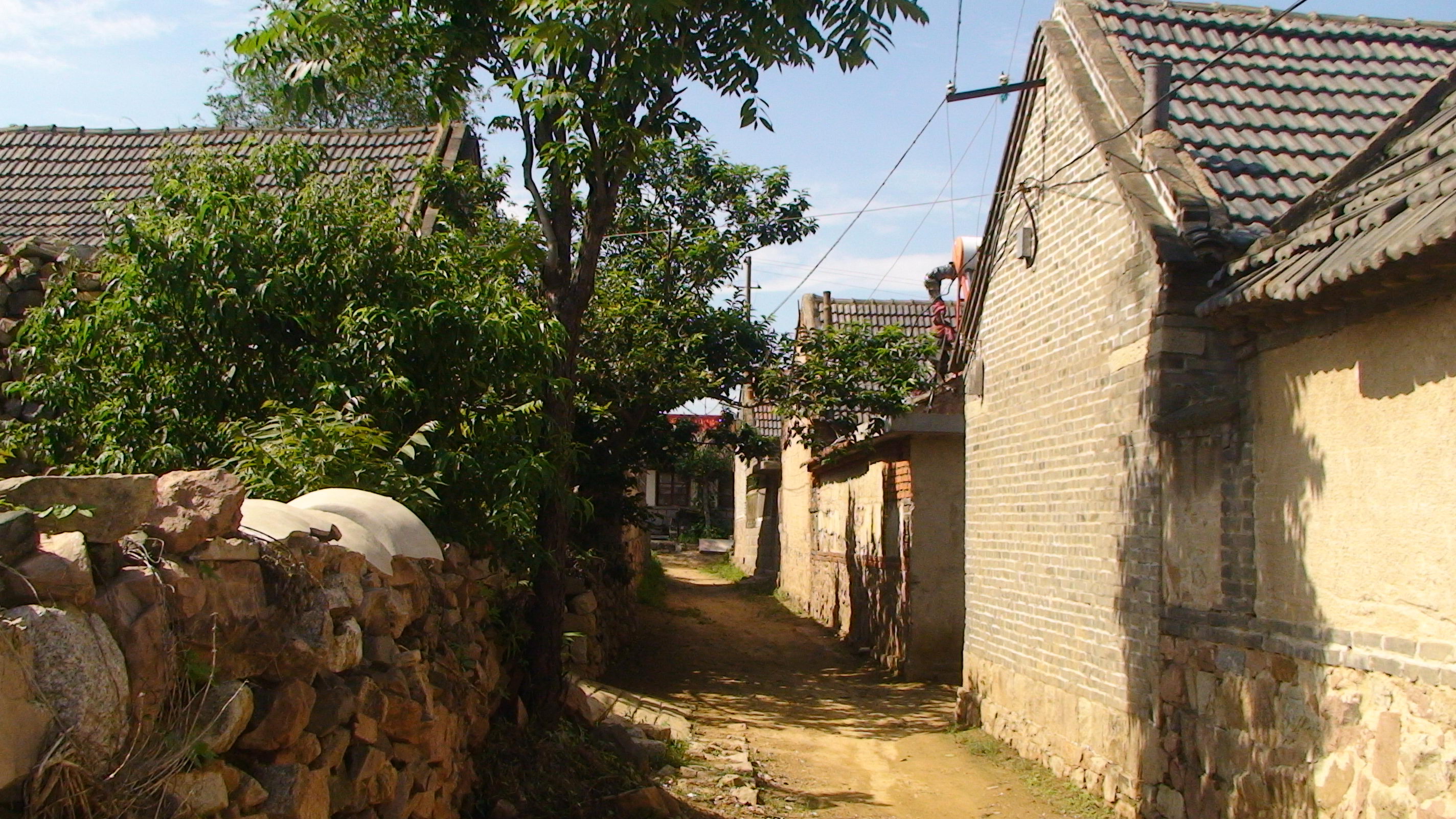 DSC00675