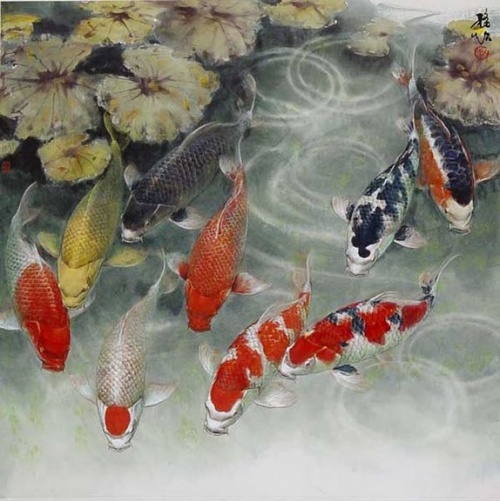 9 карпов. 1