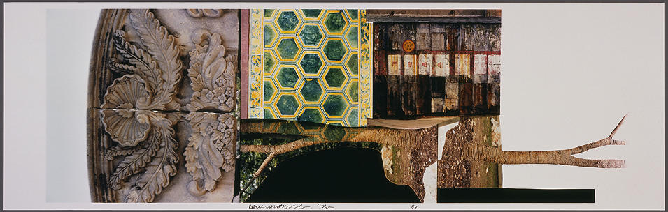 Study of Chinese Summerhall