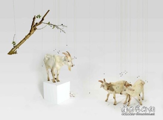 Три горных козы. Хун Лэй, 2007. 