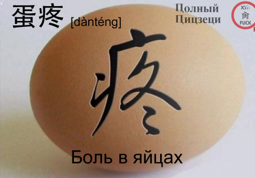 蛋疼