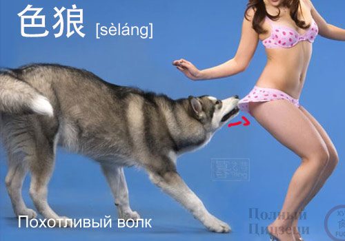 色狼