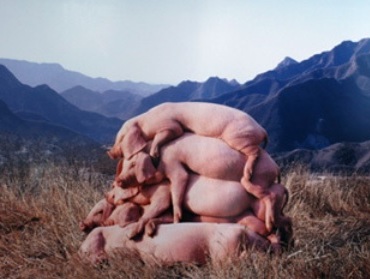 Я тоже люблю современное искусство. У Хунцзинь, 2007.