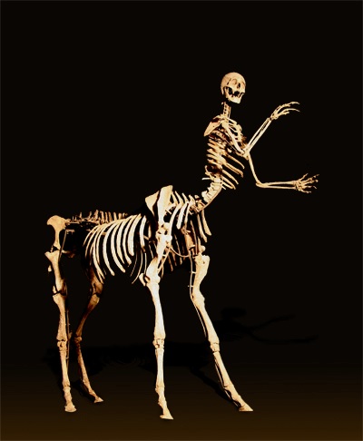 Кентавр (人马怪), 2005
