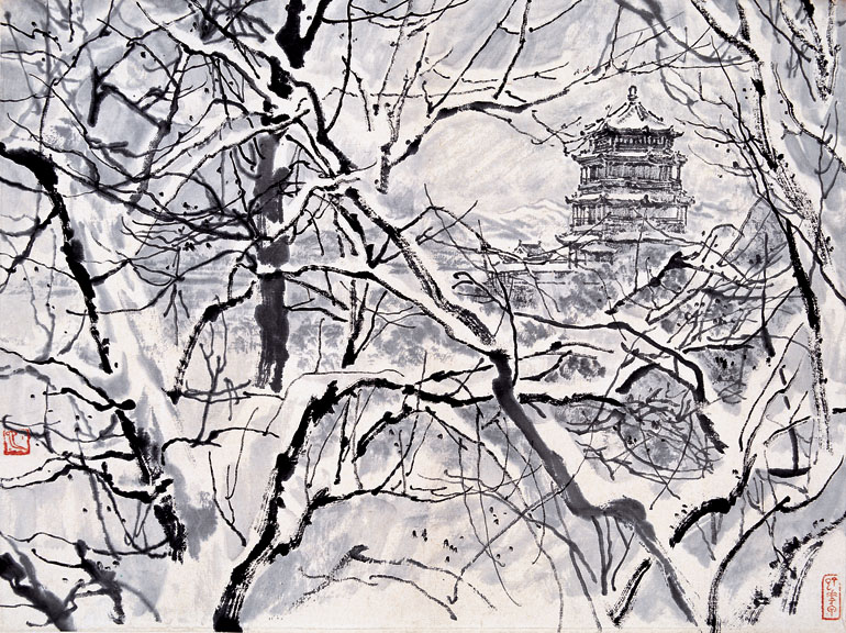 zhang ding 6