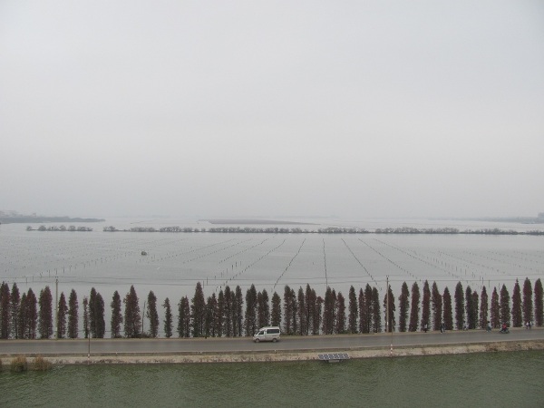 kunming (19)