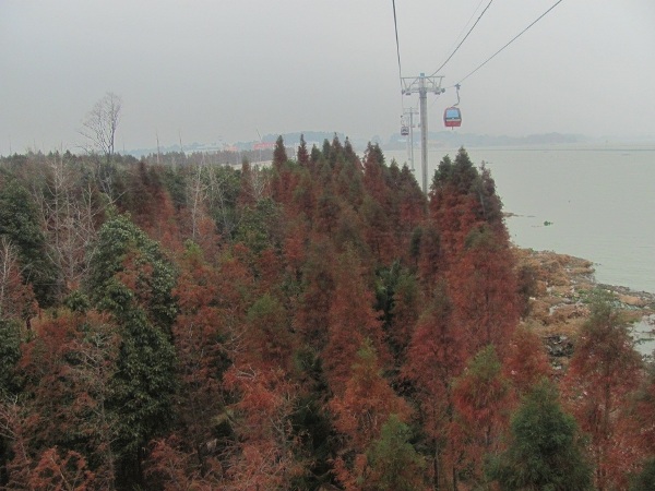 kunming (20)