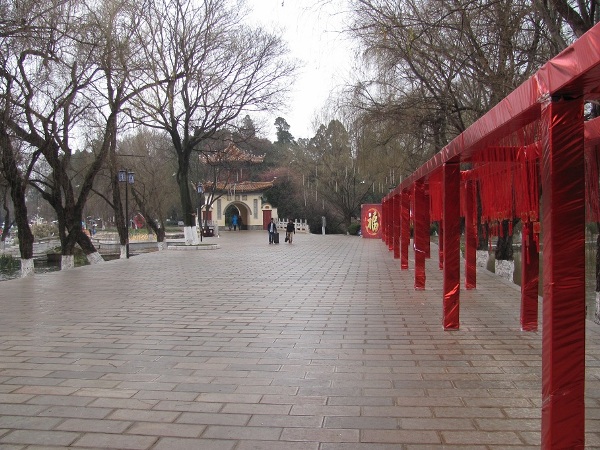 kunming (25)