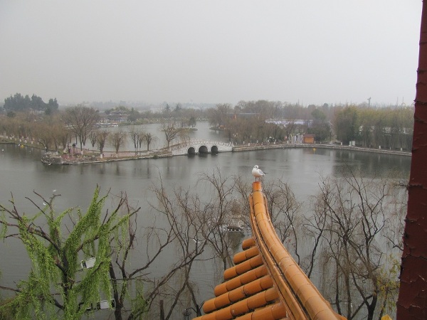 kunming (29)