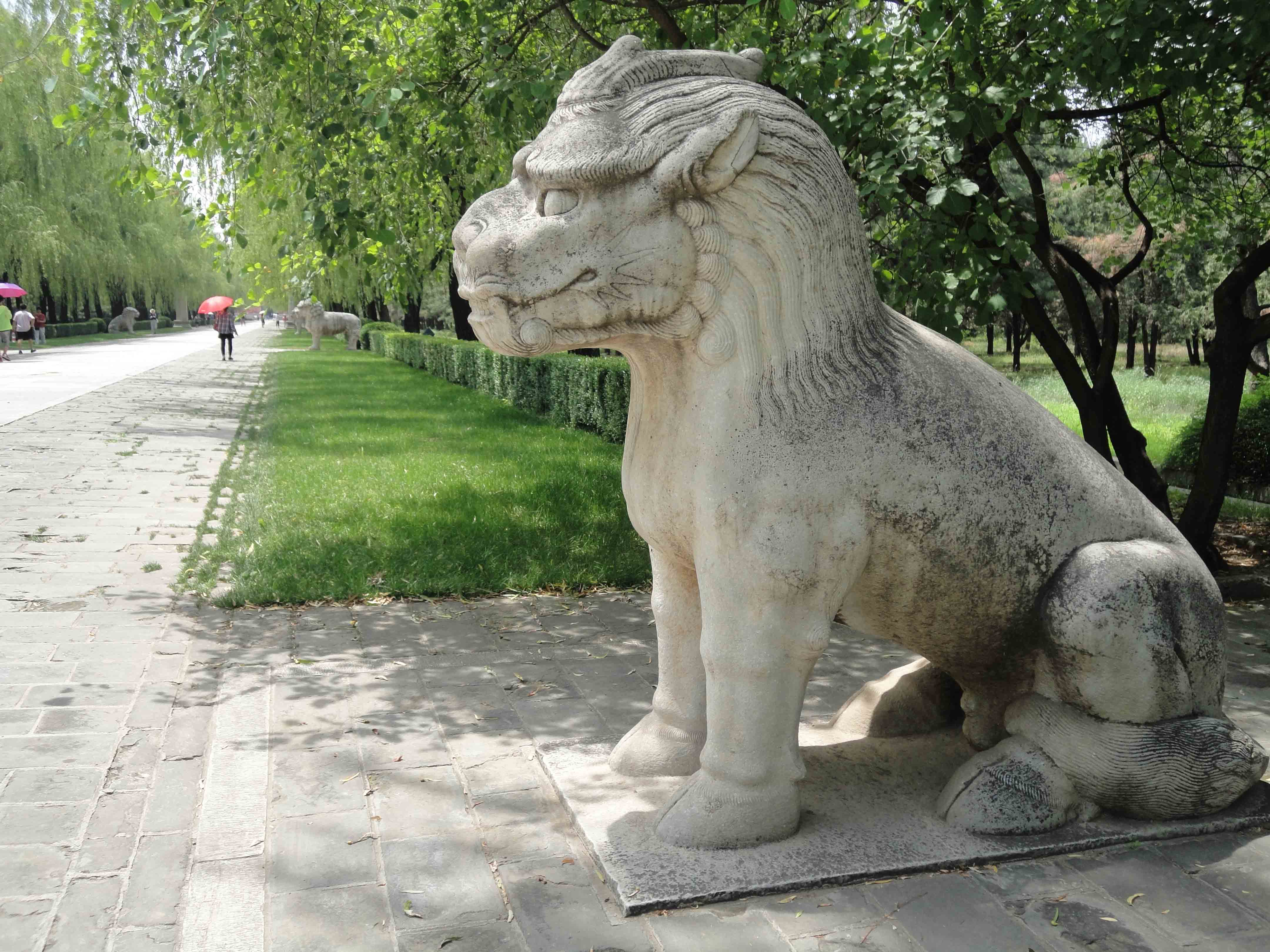 DSC055021