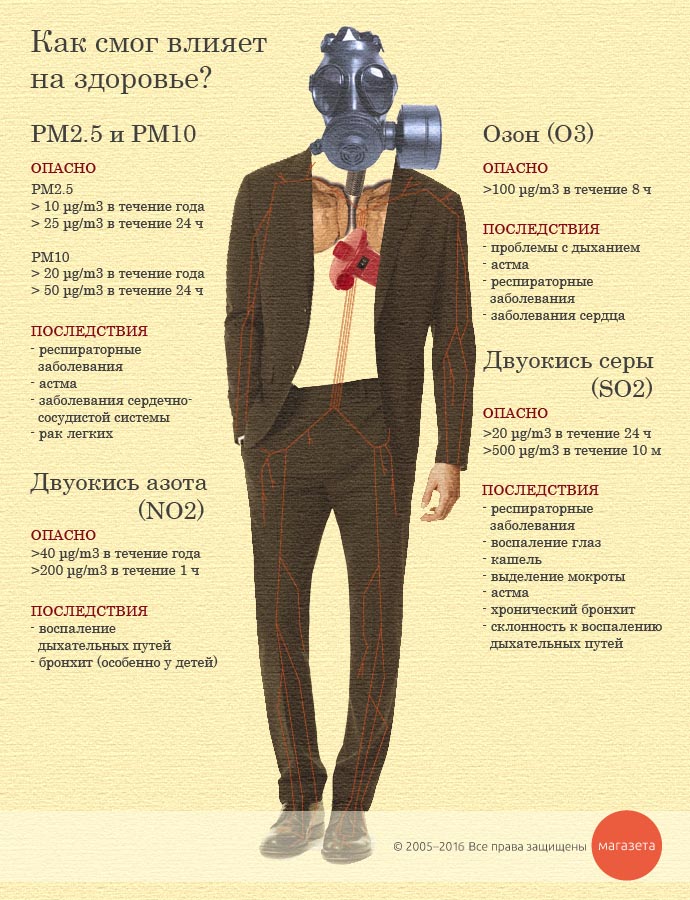 air_pollution_health_info