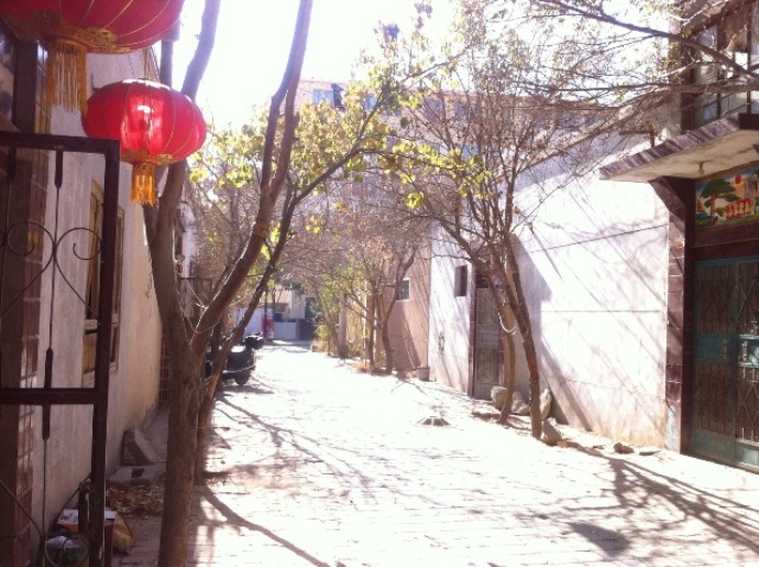 painter-zhangping (2)