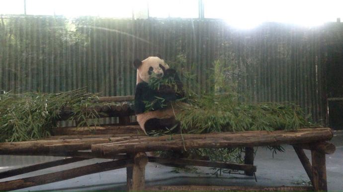 trip to shanghai 2 (6)