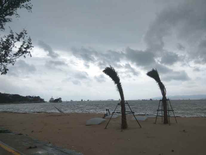 typhoon-3