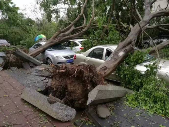 typhoon-33