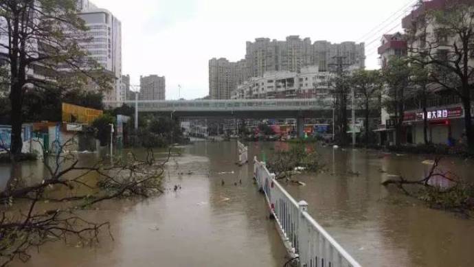 typhoon-36