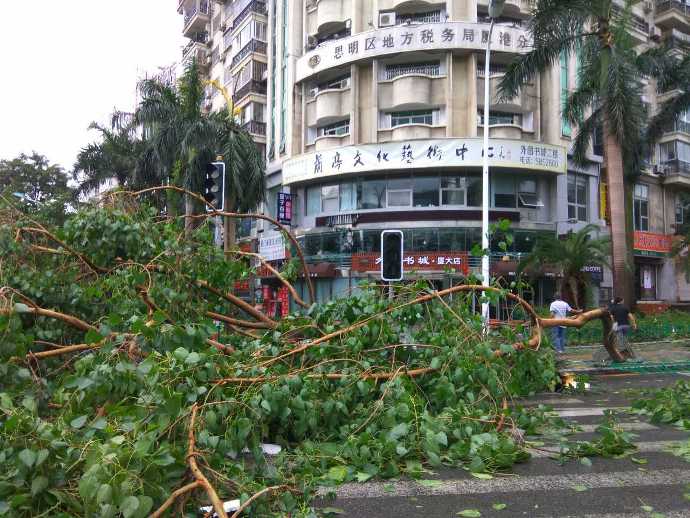 typhoon-6