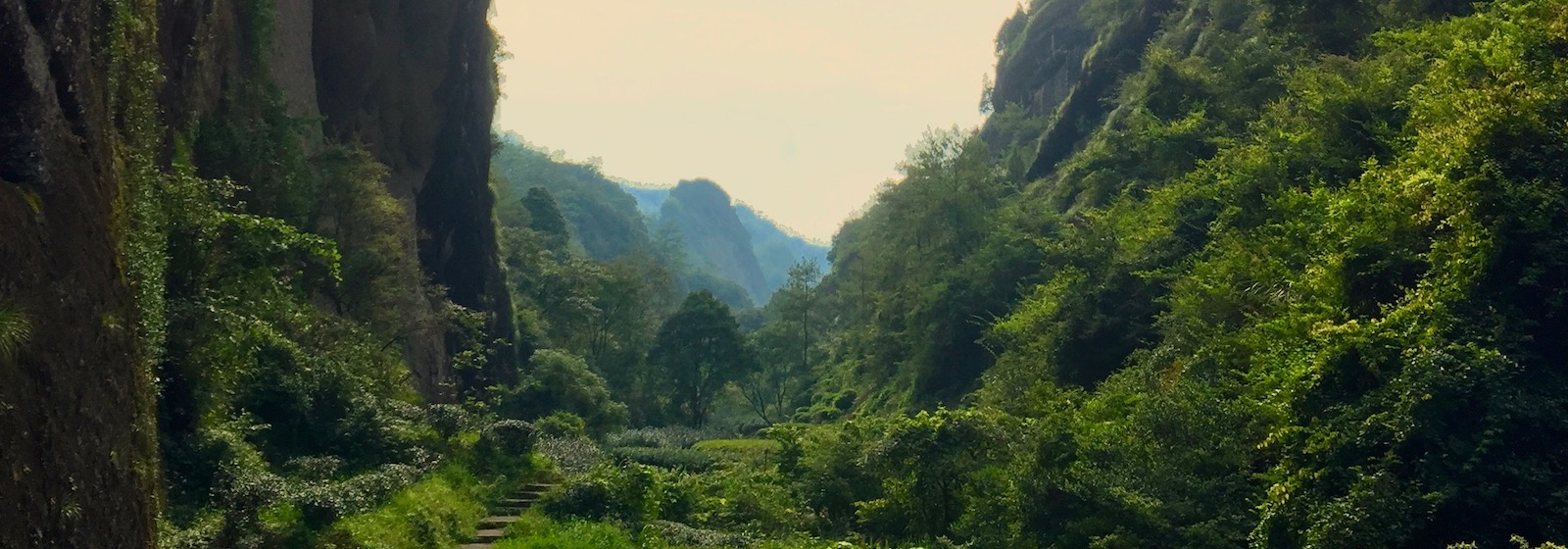 wuyishan_main