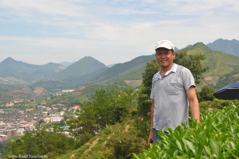shuixian tea