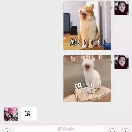 wechat parents