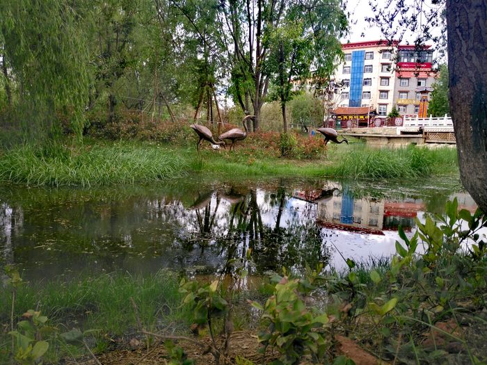 shangri-la