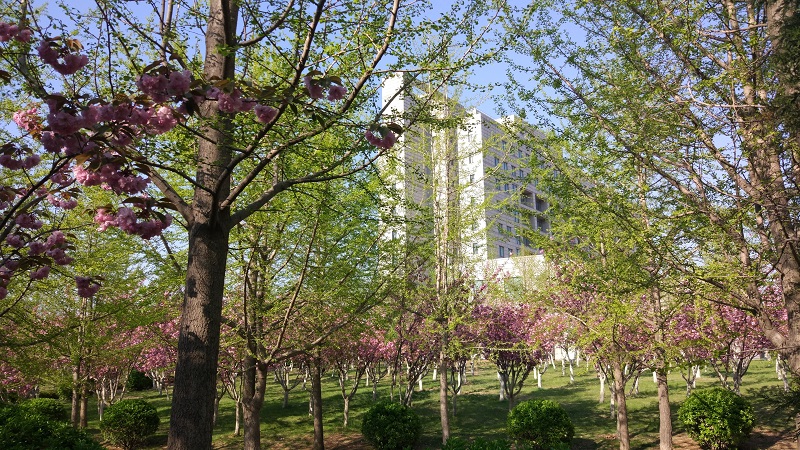 Кампус DUFE